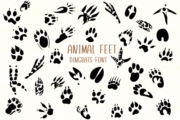 Animal Feet: Playful Tracks for Creative Designs