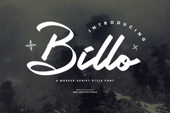 Billo: The Marker Script Font for Lively Designs